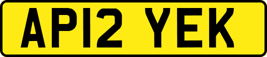 AP12YEK