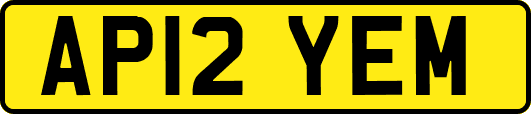 AP12YEM