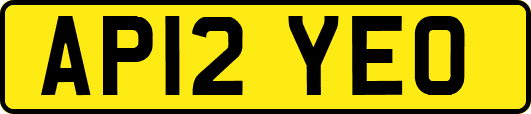 AP12YEO