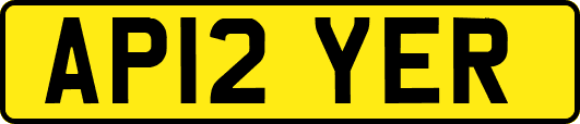 AP12YER