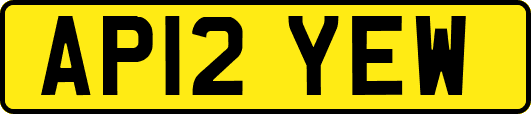 AP12YEW