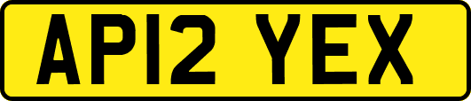 AP12YEX