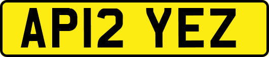 AP12YEZ