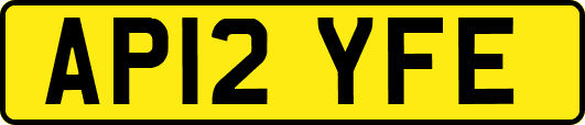 AP12YFE