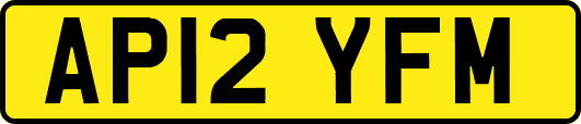 AP12YFM