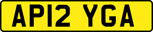 AP12YGA