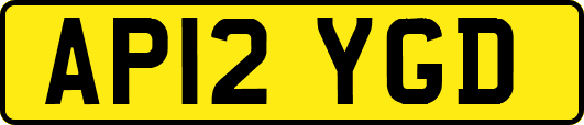 AP12YGD