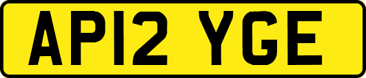 AP12YGE