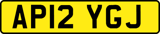 AP12YGJ