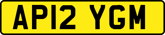 AP12YGM