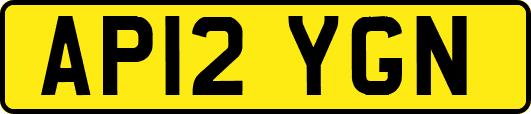 AP12YGN