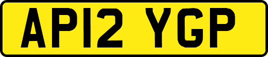 AP12YGP