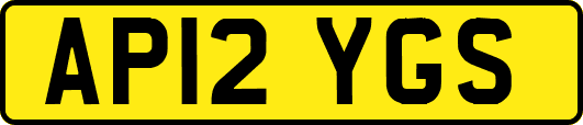 AP12YGS