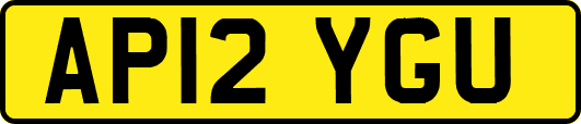 AP12YGU
