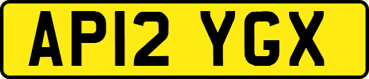 AP12YGX