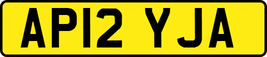 AP12YJA