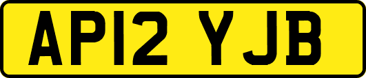 AP12YJB