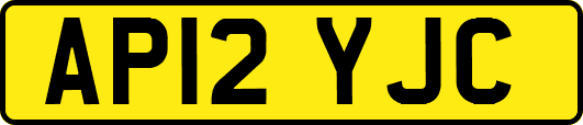 AP12YJC