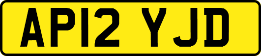 AP12YJD
