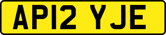 AP12YJE