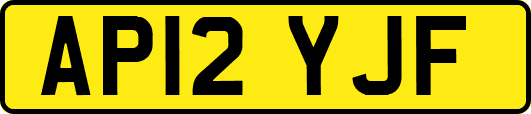 AP12YJF