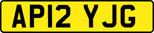 AP12YJG