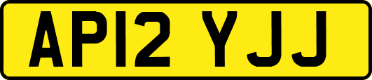 AP12YJJ