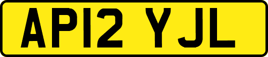 AP12YJL