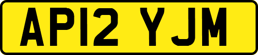 AP12YJM