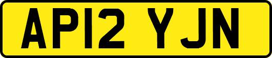 AP12YJN