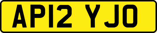 AP12YJO