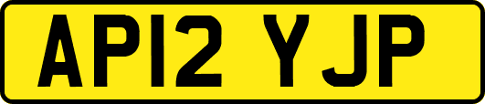 AP12YJP