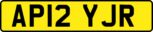 AP12YJR