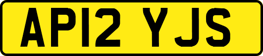 AP12YJS