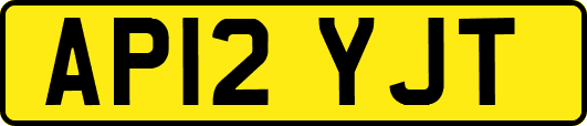 AP12YJT