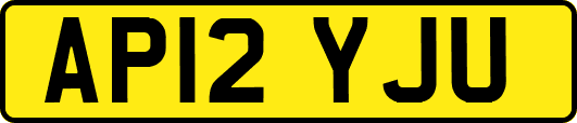 AP12YJU