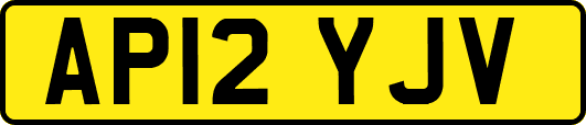 AP12YJV