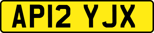 AP12YJX