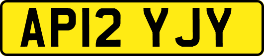AP12YJY
