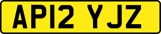 AP12YJZ