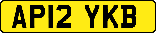 AP12YKB