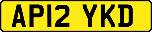 AP12YKD