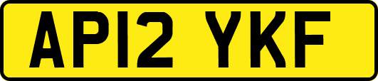 AP12YKF
