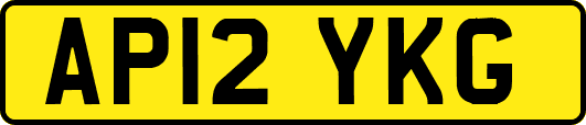 AP12YKG