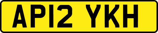 AP12YKH