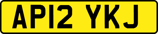 AP12YKJ