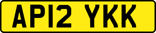 AP12YKK