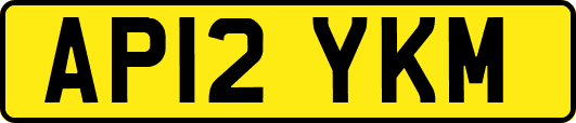 AP12YKM
