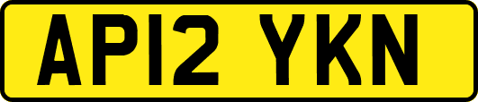 AP12YKN