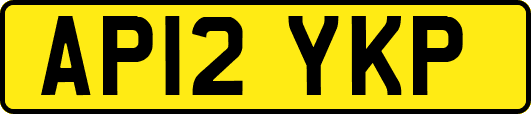 AP12YKP